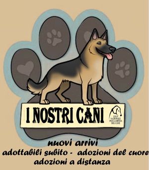Lettera scritta da un cane